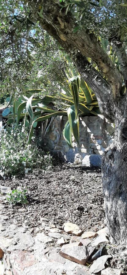 فيلا بنيا جارسيافي Casa Do Alecrim المظهر الخارجي الصورة
