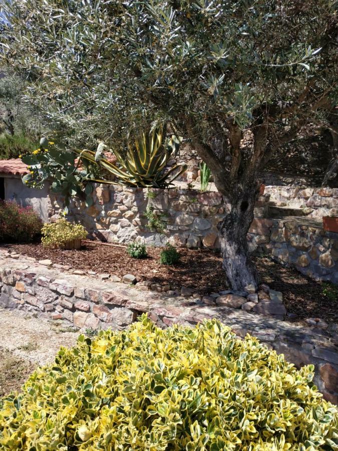 فيلا بنيا جارسيافي Casa Do Alecrim المظهر الخارجي الصورة