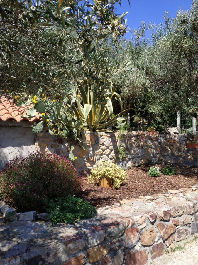 فيلا بنيا جارسيافي Casa Do Alecrim المظهر الخارجي الصورة
